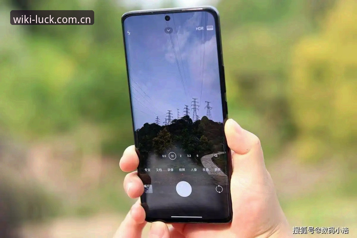 新手必看：判断维基体育APP好用吗怎么样的5个关键维度